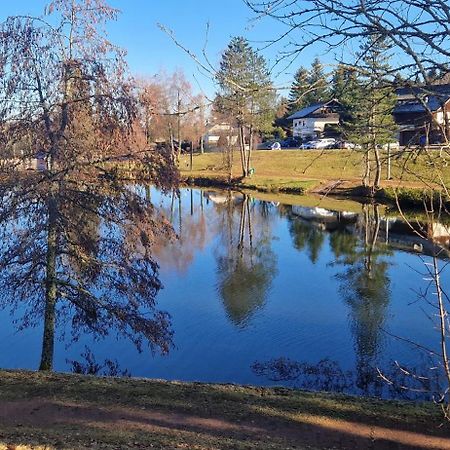 Ferienwohnung Panorama Schwarzwald Herrischried المظهر الخارجي الصورة