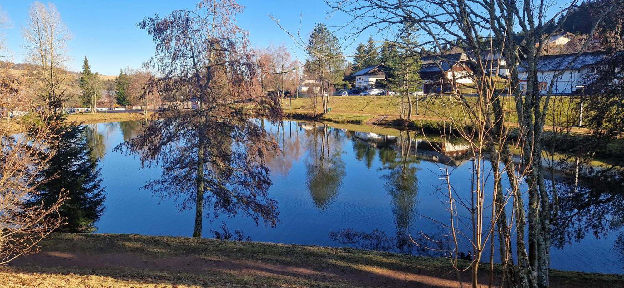 Ferienwohnung Panorama Schwarzwald Herrischried المظهر الخارجي الصورة